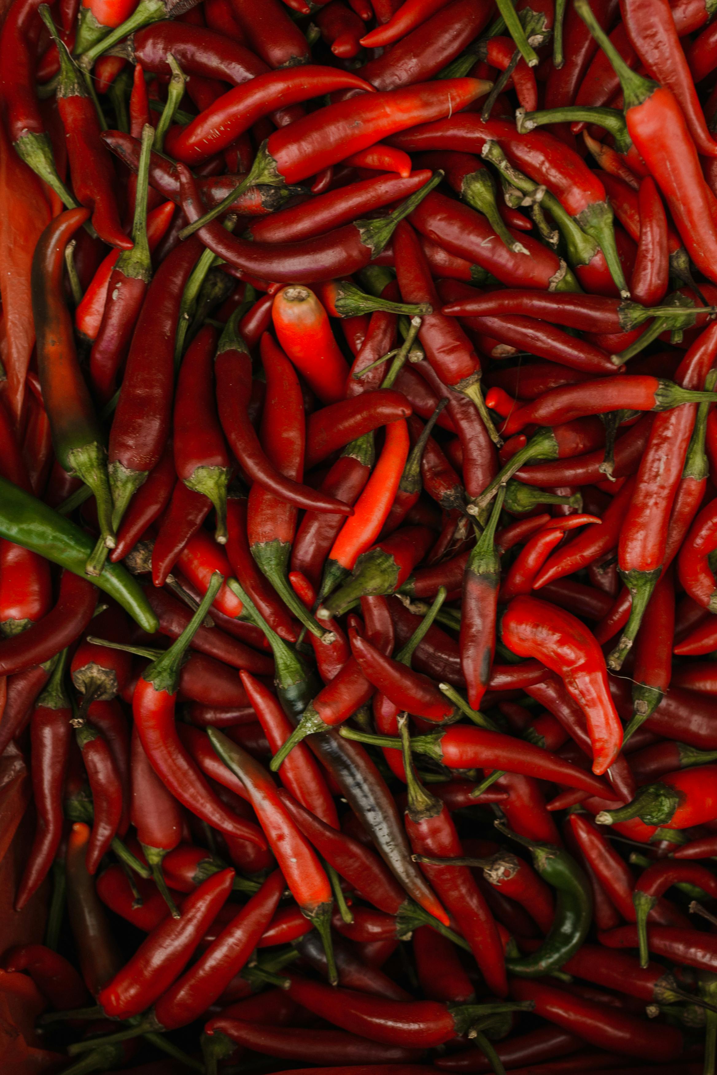 Red Chili Export